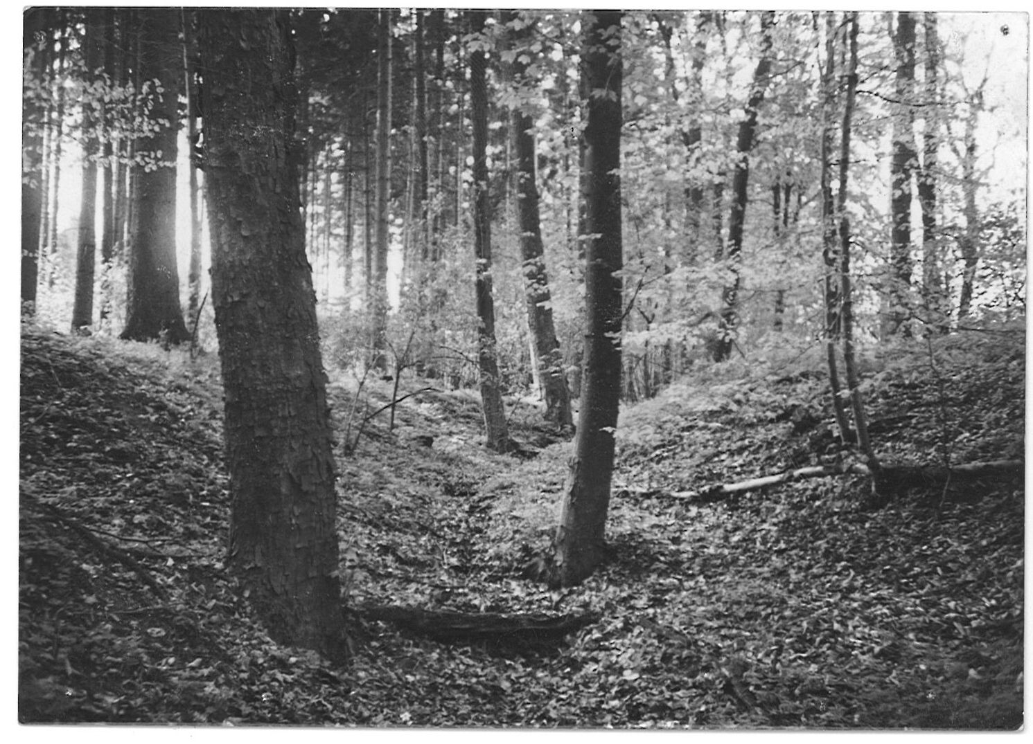Novodvorský ponor, jeskyně Ponorný hrádek: přítokový žlíbek k ponoru.  Foto: Marek Šenkyřík (90. léta)
