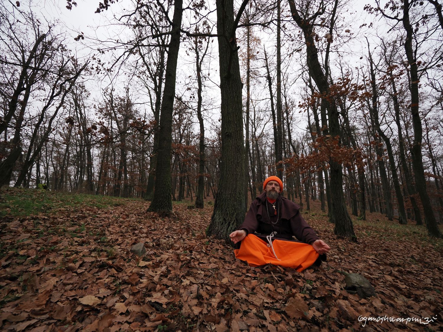 Hradisko u Bosonoh -  meditace v Dubovém háji. Foto: Svámí Gyaneshwarpuri, samospoušť (2024).