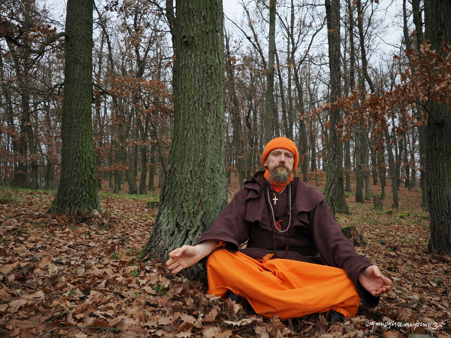 Hradisko u Bosonoh -  meditace v Dubovém háji. Foto: Svámí Gyaneshwarpuri, samospoušť (2024).
