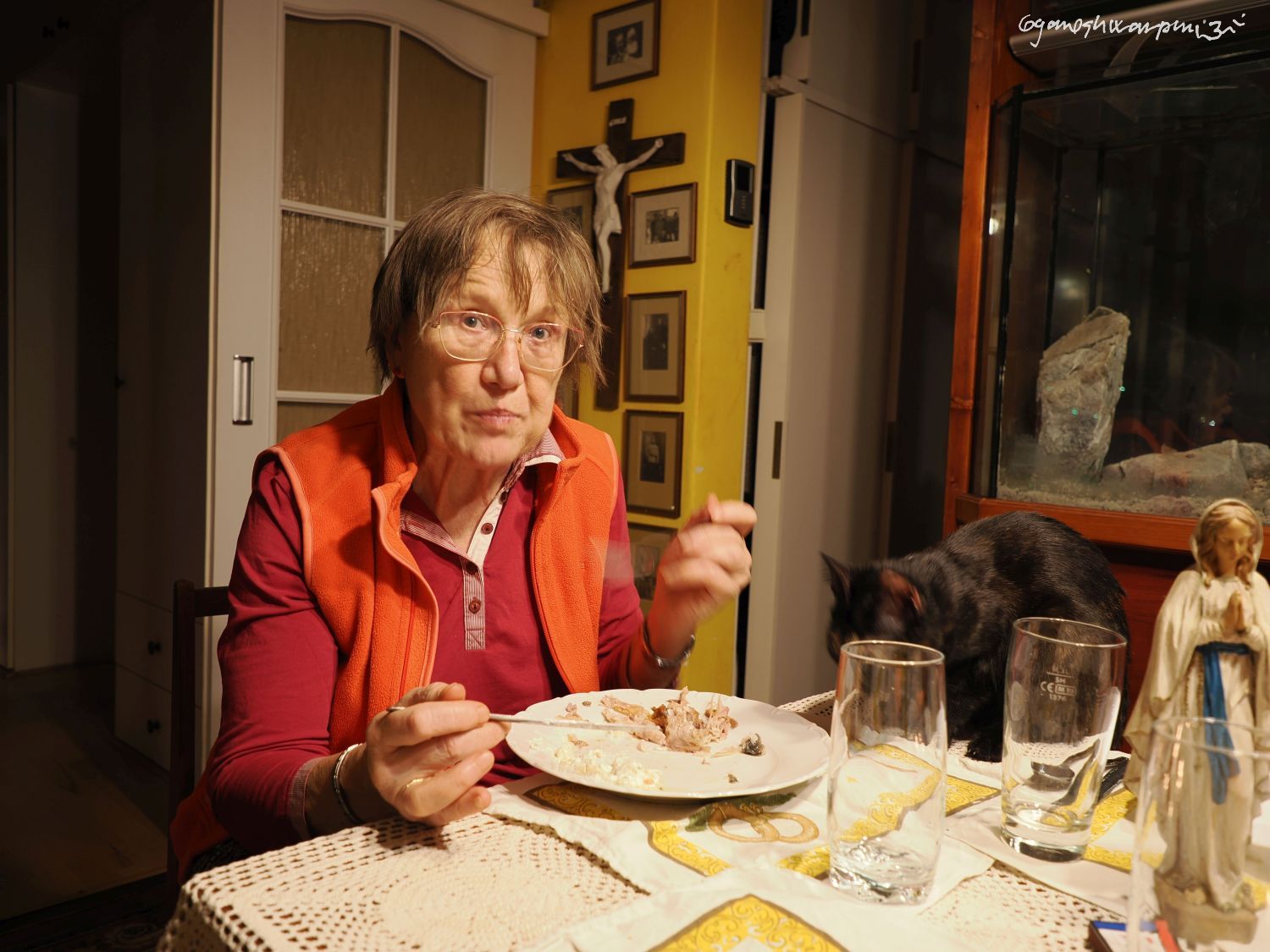 Anna Šenkyříková. Foto: Svámí Gyaneshwarpuri 2024.