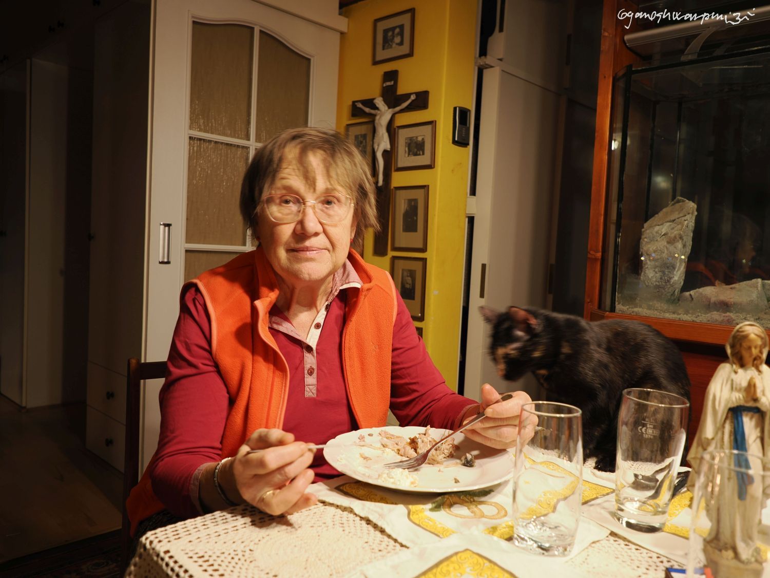 Anna Šenkyříková. Foto: Svámí Gyaneshwarpuri 2024.
