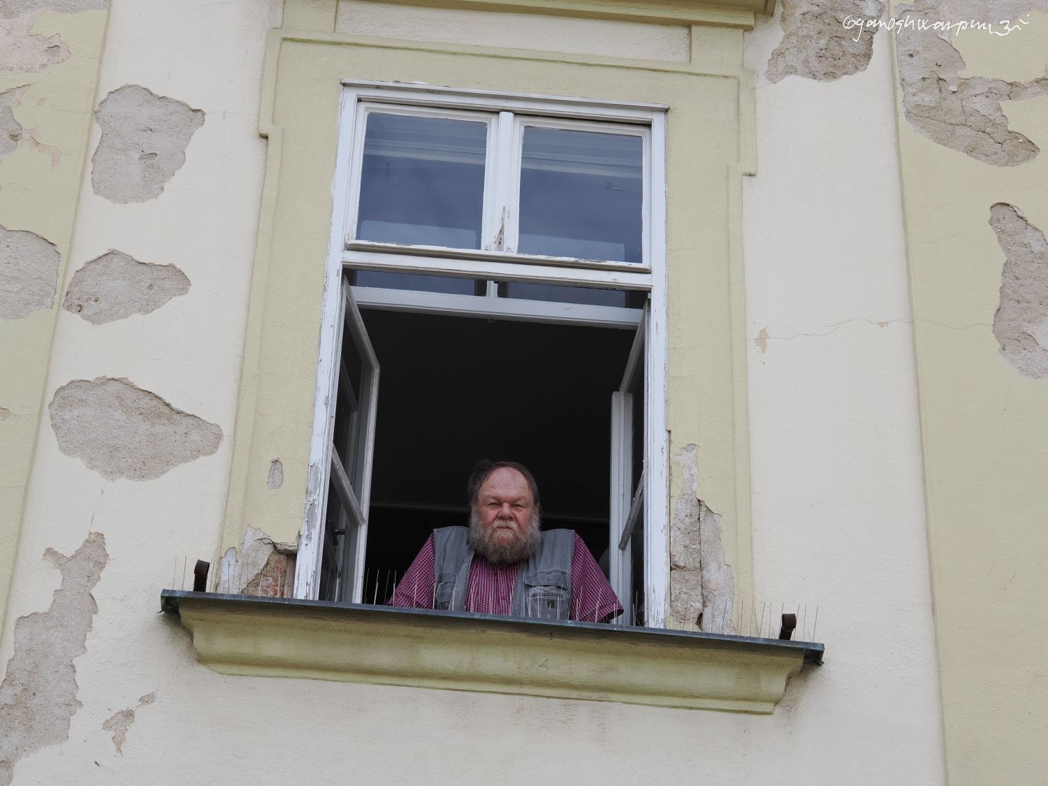 Doc. Martin Oliva v okně své kanceláře v Ústavu Anthropos MZM (2025).  Foto: Svámí Gyaneshwarpuri.