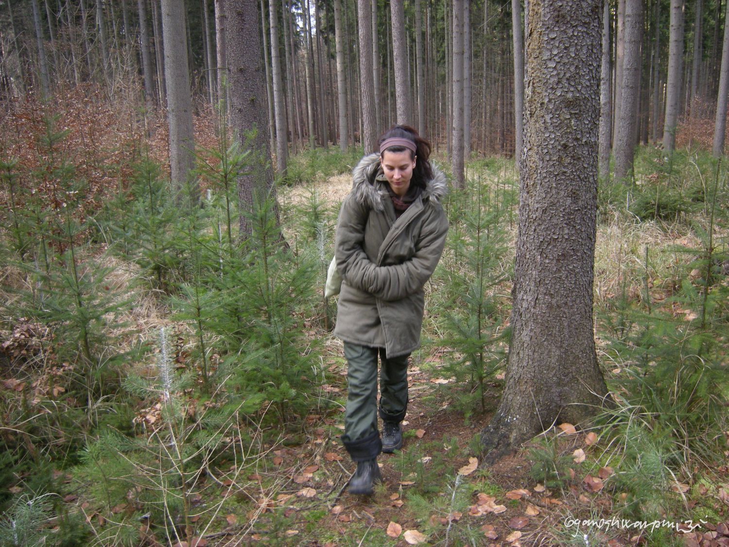 Poustevnice Klára z Olomučanské plošiny (2009-2010).  Foto: Marek P.  Gyaneshwarpuri (2009-2010).