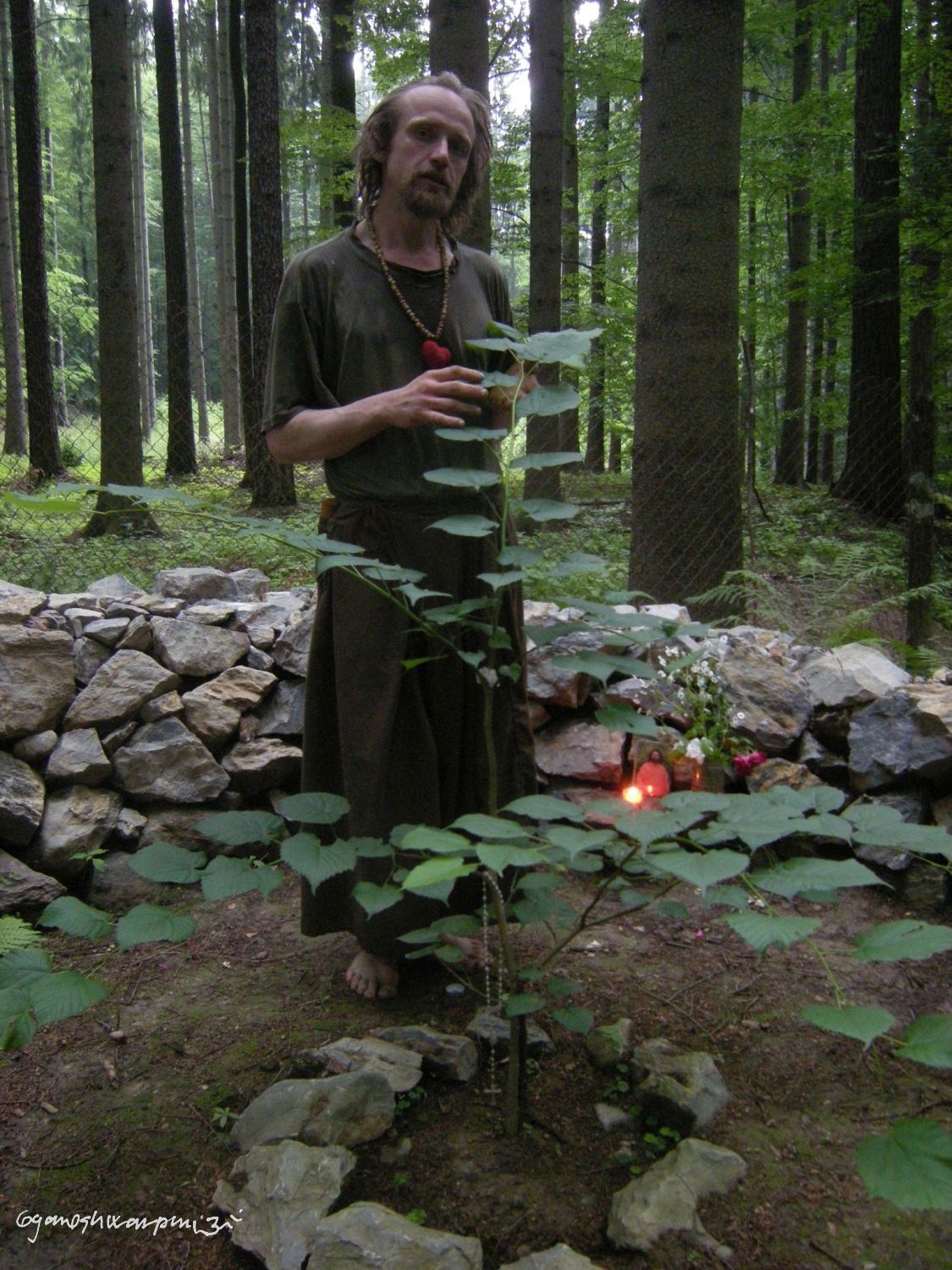 Děravka - poustevník u lípy. Foto: Marek Gyaneshwarpuri, samospoušť 2009.
