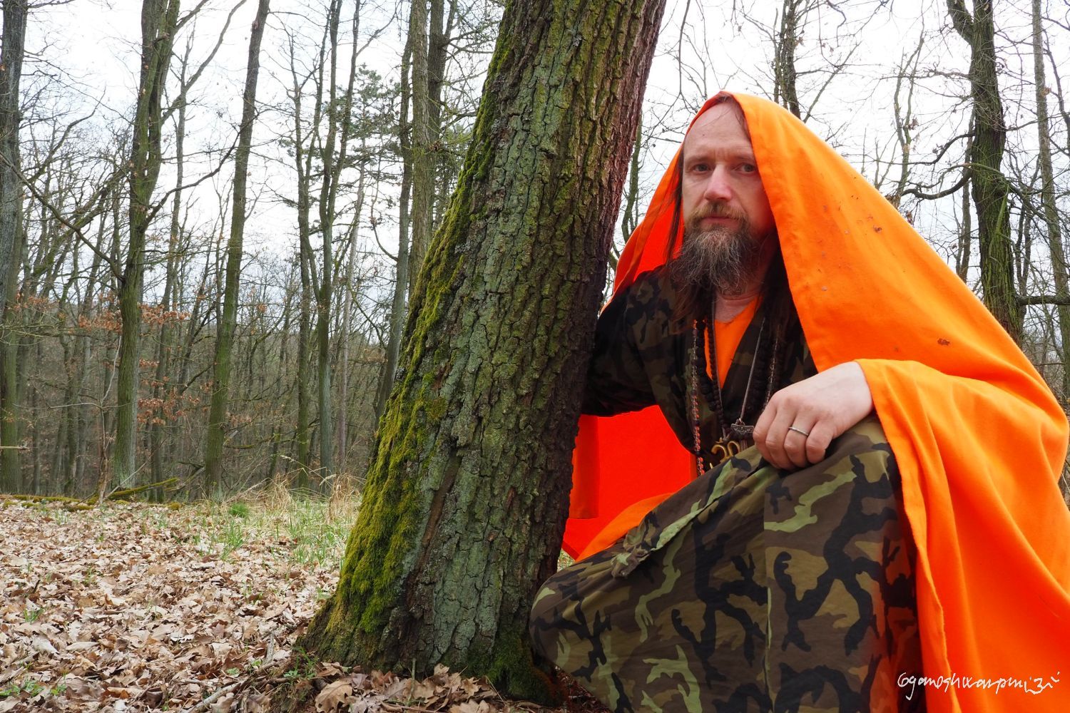 Hradisko u Bosonoh - duby, inkarnovaní druidi. Foto: Marek Gyaneshwarpuri, samospoušť 2021