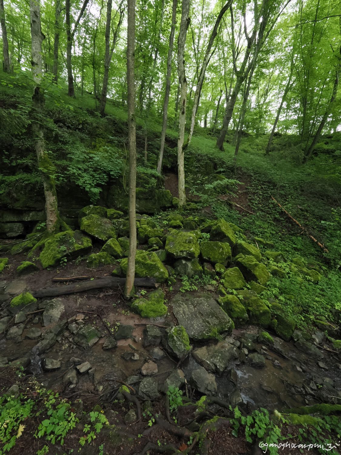 Barunčina pod Svatými schody - Ochozský žlíbek. Foto: Svámí Gyaneshwarpuri (2024).