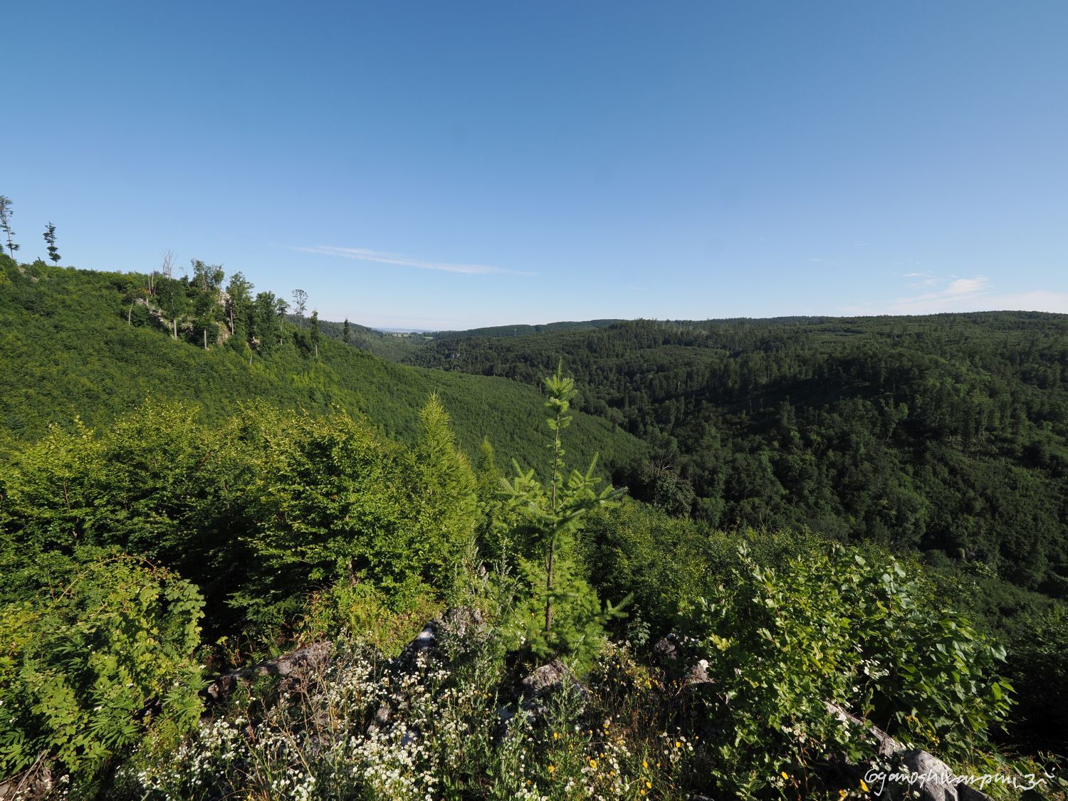 Ztracený ráj u Vepřku. Foto: Svámí Gyaneshwarpuri (2025).