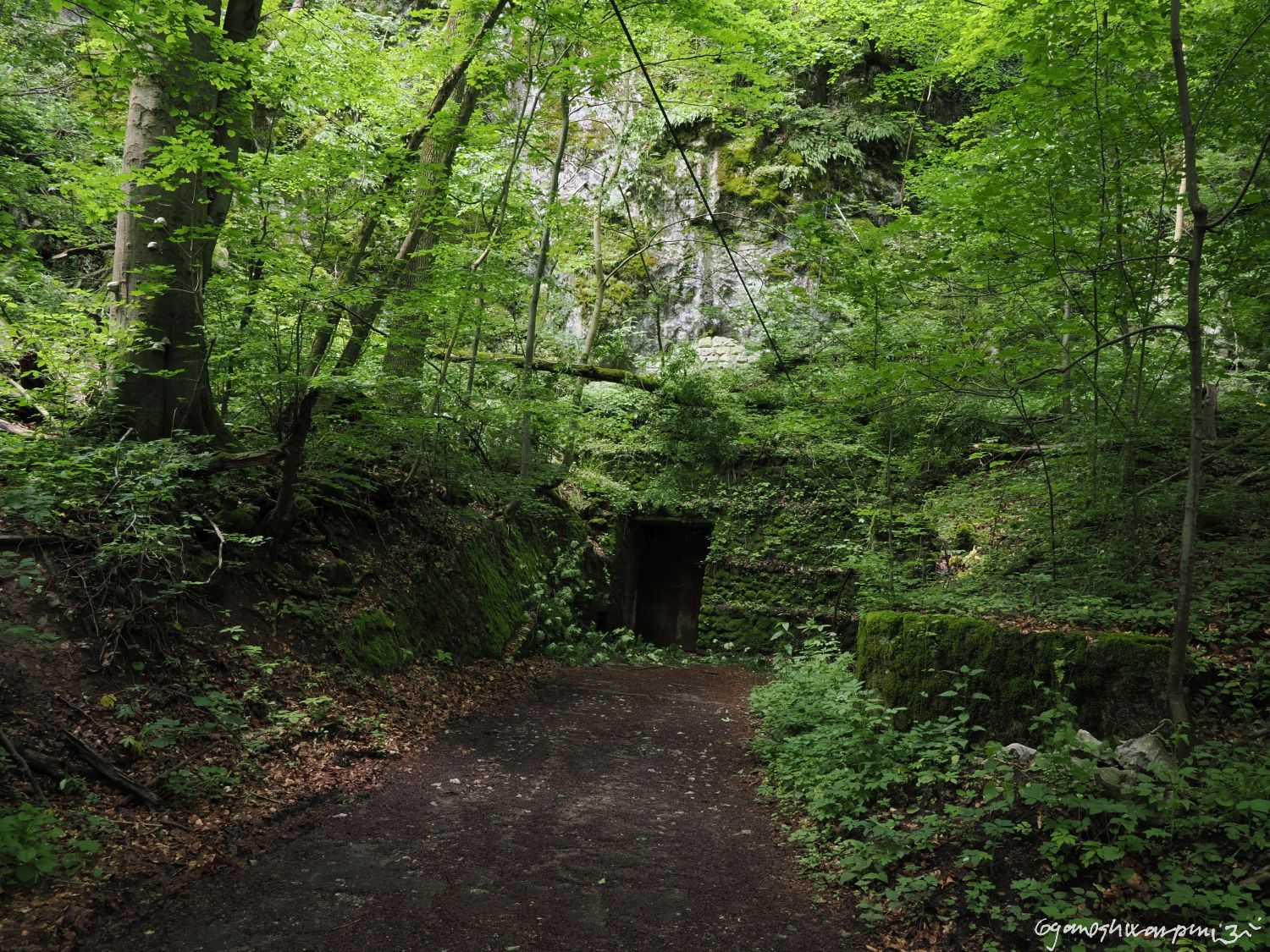 Stará Drátenická ve Křtinském údolí. Foto: Svámí Gyaneshwarpuri (2024).