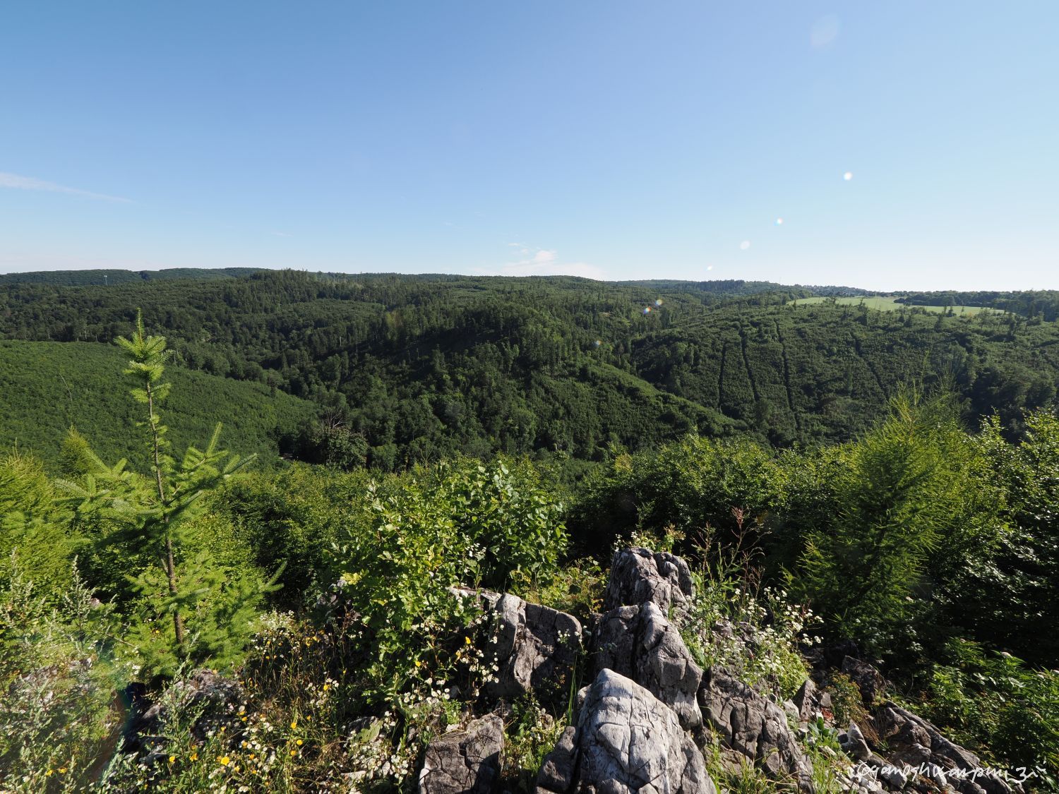 Ztracený ráj u Vepřku. Foto: Svámí Gyaneshwarpuri (2025).