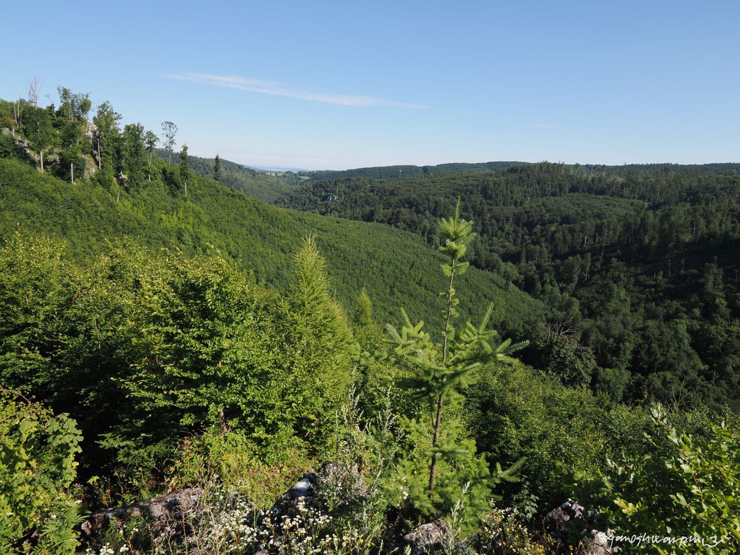 Ztracený ráj u Vepřku. Foto: Svámí Gyaneshwarpuri (2025).