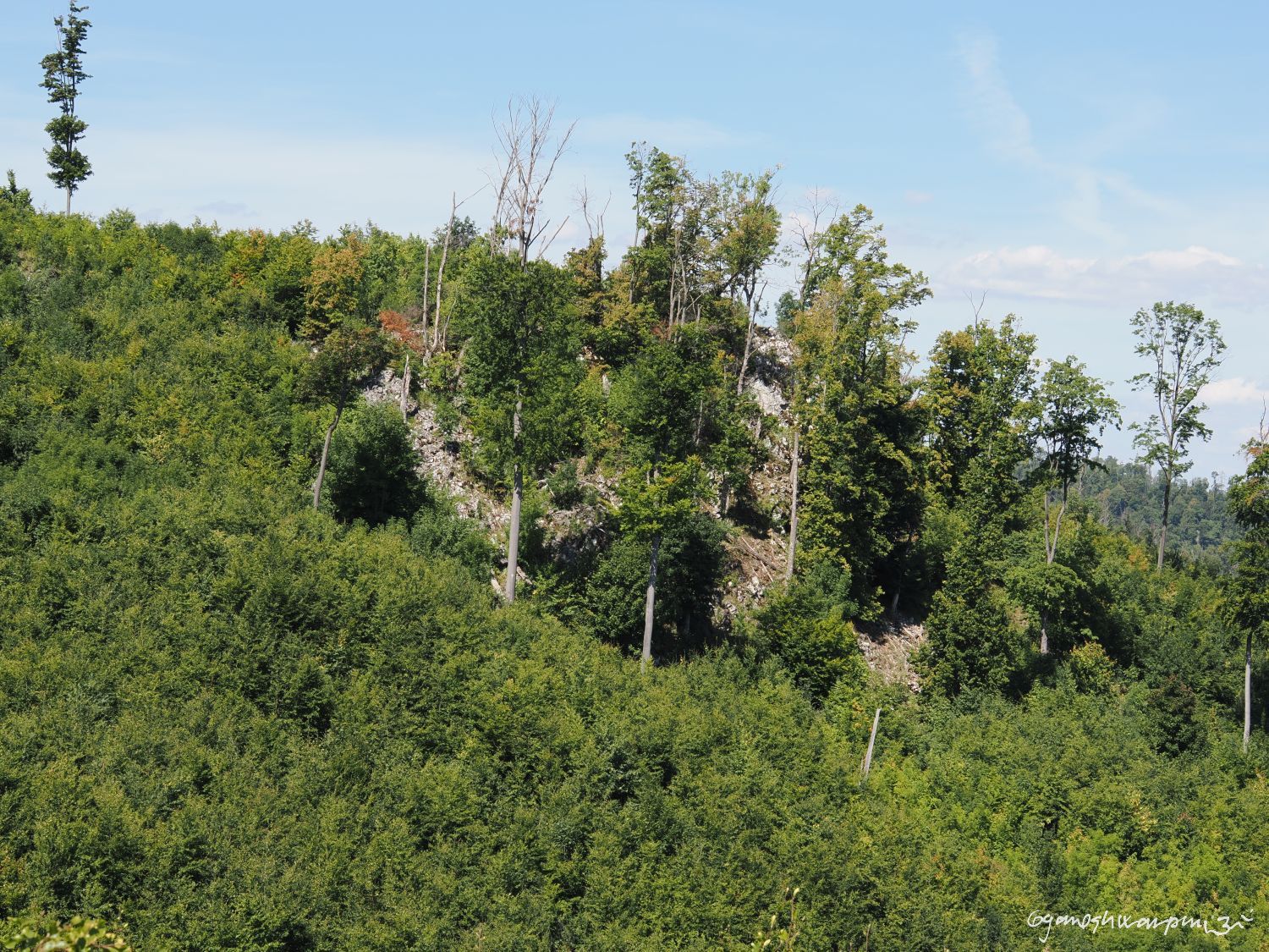 Tajemný  Vepřek nad Křtinským údolím. Foto: Svámí Gyaneshwarpuri (2025).