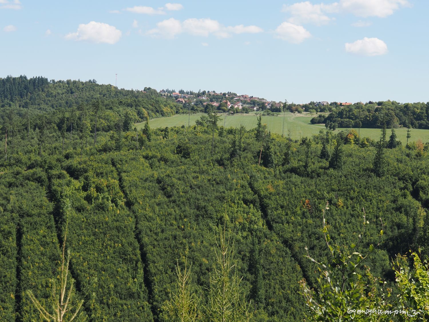 Výhled od  Vepřku ve Křtinském údolím k Habrůvce na Habrůvecké plošině. Foto: Svámí Gyaneshwarpuri (2025).