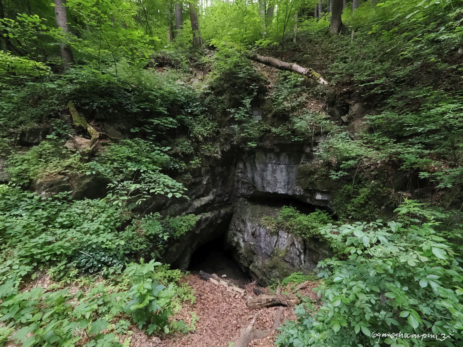 Otevřená skála ve Křtinském údolí. Foto: Svámí Gyaneshwarpuri (2024).