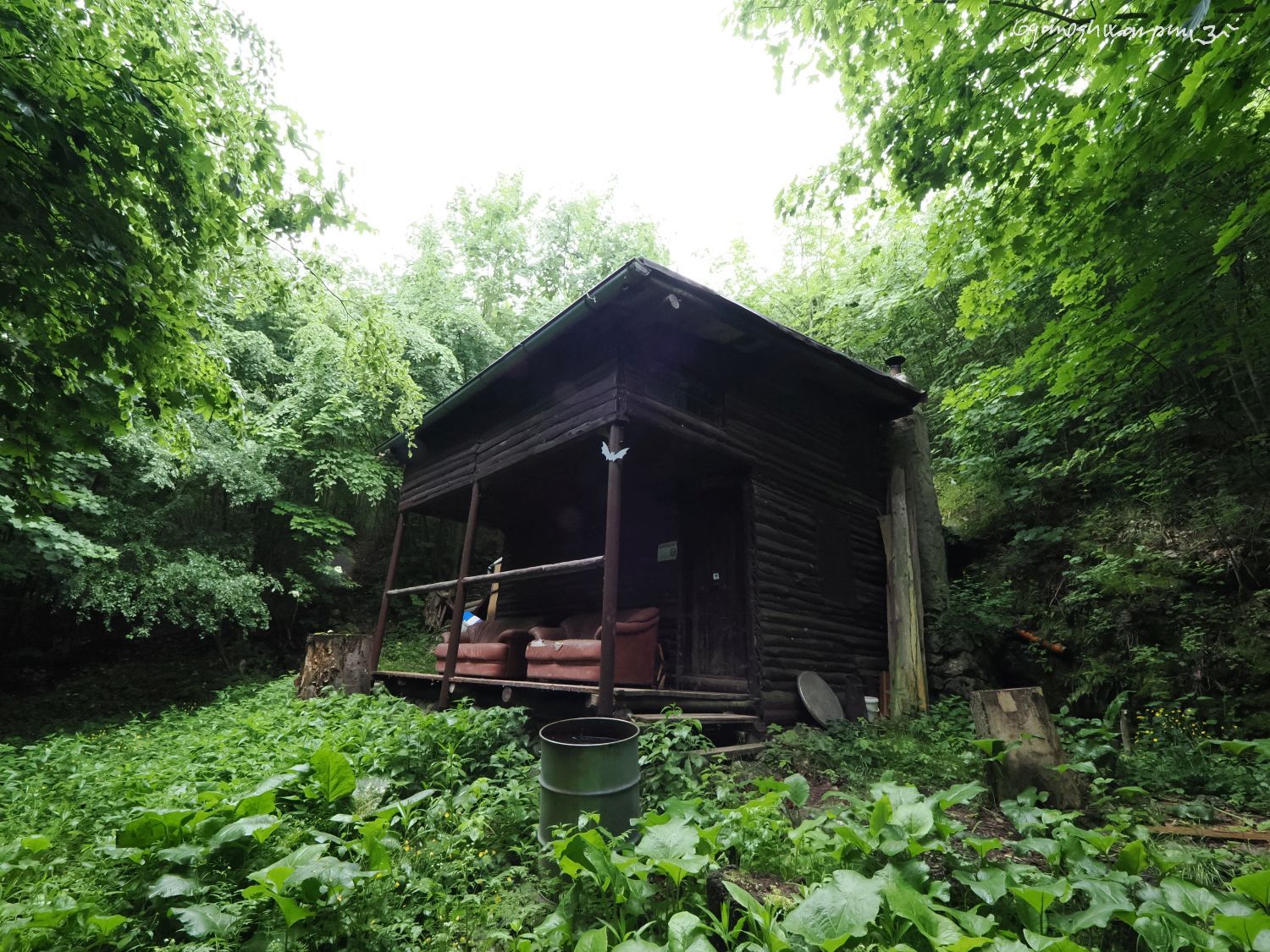 Srub ze smrkových odřezků Ponor na plošině Skalka. Foto: Svámí Gyaneshwarpuri (2024).