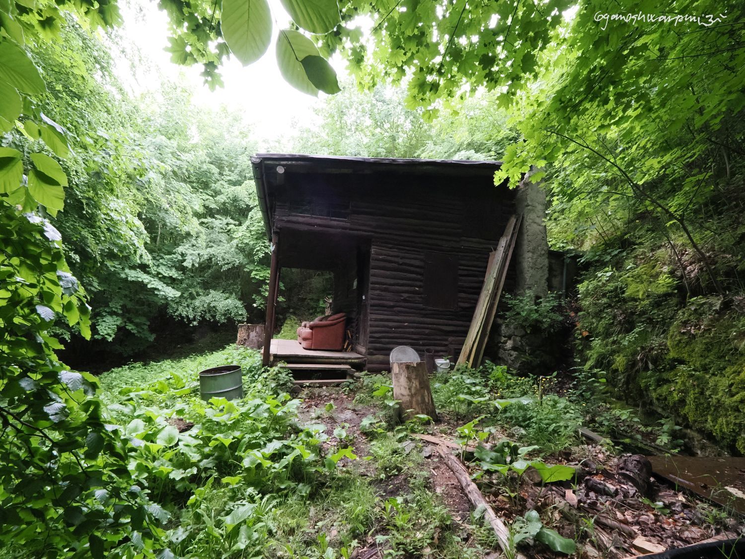 Srub ze smrkových odřezků Ponor na plošině Skalka. Foto: Svámí Gyaneshwarpuri (2024).