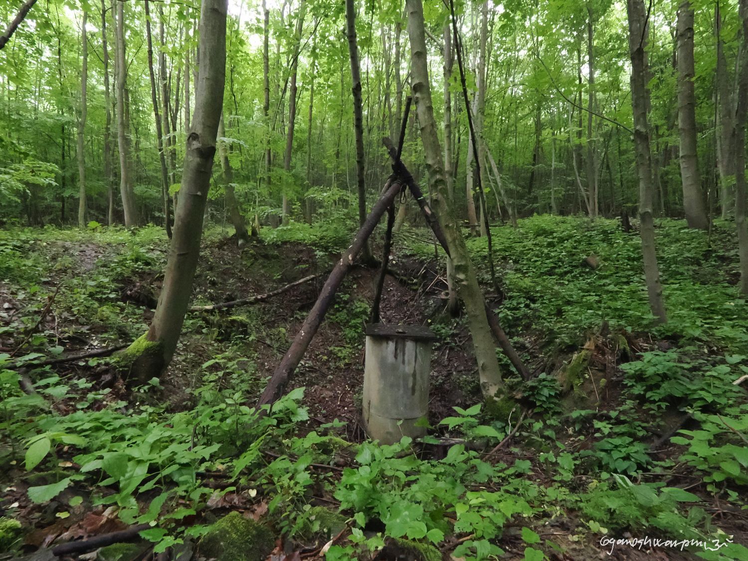 Novodvorský ponor - jeskyně Ponorný hrádek na plošině Skalka. Foto: Svámí Gyaneshwarpuri (2024).