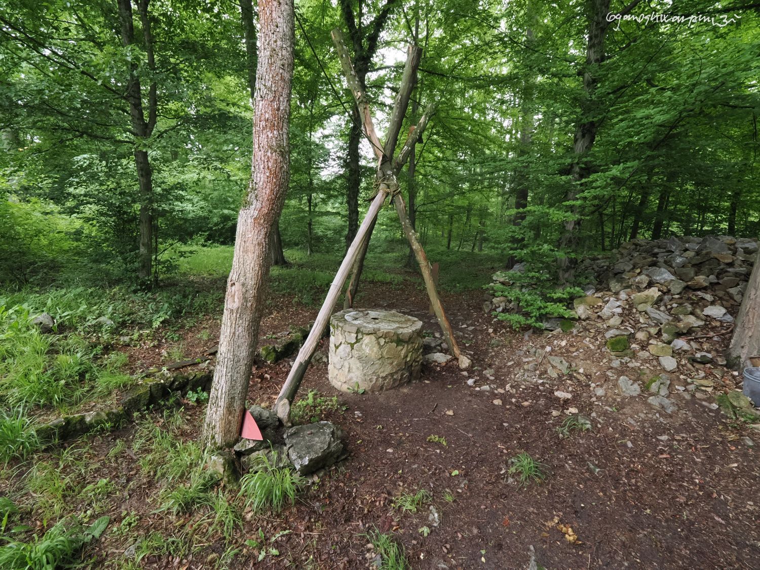 Závrt u borovice (Zub) - jeskyně Soví komín na plošině Skalka. Foto: Svámí Gyaneshwarpuri (2024).